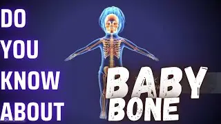Why Do Babies Have More Bones Than Adults, and What Happens to Them,baby bones (@AEGISBODY)