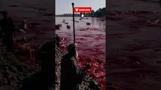 The First Plague: Nile Turns to Blood &ndash; Exodus 7 #asvbible #history #freeaudiobible
