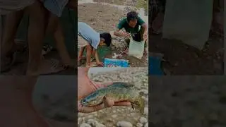Machli ka shikar kasa kare | Asaan fishing | desi goan fishing #fishing #fish #amazing