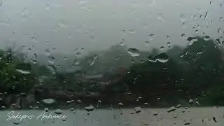 Afternoon Rain Sounds 🌧️ | Relaxing ASMR for Stress Relief & Calm Mind