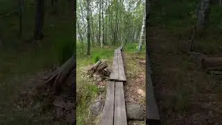 Road to Birdwatching Tower at Joensuu