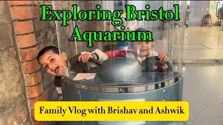 Family Vlog: Exploring Bristol Aquarium with Brishav and Ashwik