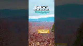 Gatlinburg Hidden Gem! Roaring Fork Motor Trail