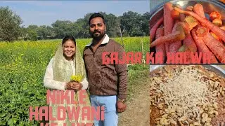  Day -4 Hum Nikle Haldwani ke liye #viralvideo #trending #villagelife #vlog 
