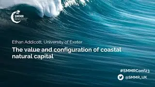 The value and configuration of coastal natural capital
