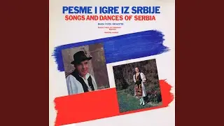 Poranila Devojčica Golube Da Hrani