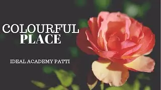 Colourful Place | Latest IELT Speaking Topic