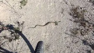 Flint Hills Nature Trail - Council Grove