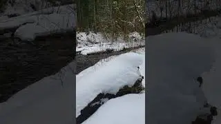 Nahelem river. March, 2023. Oregon