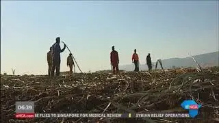 ANC divided on handling of land reform
