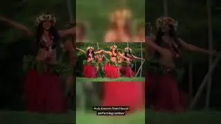 Hula the Native Hawaiian Dance #dance #hawaii #huladancer #culture #culturaldance #dance #native