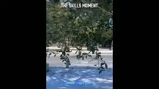 The skills moment 💥 #youtubeshort #reels #foryou #explorepage #skills #moments #car