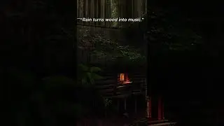 Full 1 Hour Loop on MeowNight Loops 🌙 #comfort #sleep