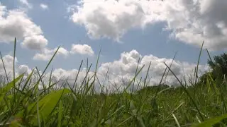 Indian community and event center will soon be coming to Terre Haute