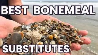 Boost Plant Health with Free Bonemeal  substitutes