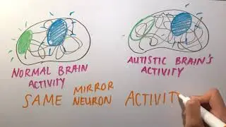 WHAT ARE MIRROR NEURONS - the brain's most controversial discovery?