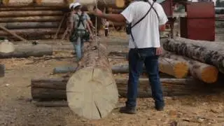 Pioneer Log & Timber