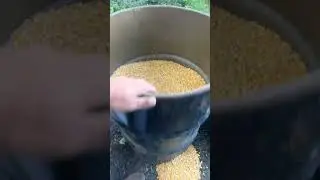 Deer feeder from a 55gal drum #whitetail #deerfeeder #fyifeeder #hunting