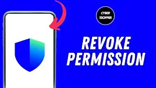 How to Revoke Permissions on Trust Wallet