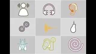 Audiology Taster Course