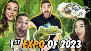 The MOST UNDERRATED Family Reptile At The Reptile Expo!