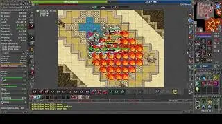 Ca&ccedil;ando 1 Hora De Werelion Com Ek 134 Skill Na Barra