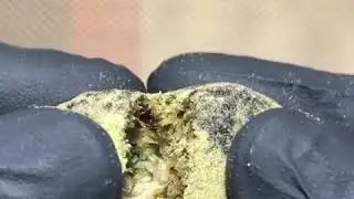 5g MOONROCK
