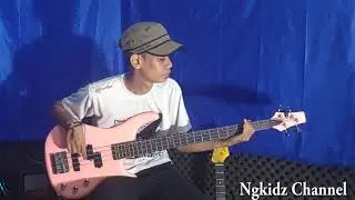 The Rasmus - In The Shadows (Bass Cover)