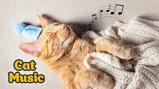 ♬ Extreme relaxation music for restless cats ♬ 10 hours anti-anxiety cat lullaby