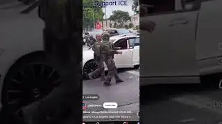 party of violence #fyp #liberals #protesters #song