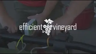 Efficient Vineyard Project Overview