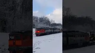 Приветливый 2ТЭ116К-1131 с тракторами на платформе #ржд #train #тамбов #поезд