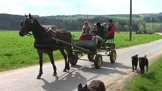 Za vozem s Primem