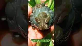 НЕФРИТОВАЯ ЖАБА #jade #nephrite #нефрит #жаба #чайнаяцеремония #натуральныекамни #чайныйпьяница #юй