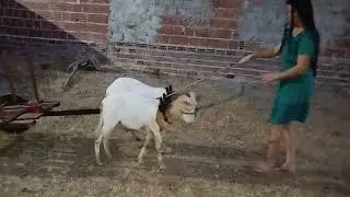 Tão quase pronto pra entregar 
