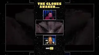 Moff Gideon's Clones from THE MANDALORIAN