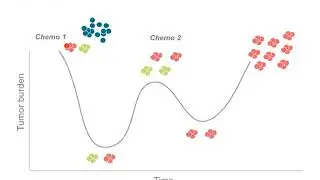 Precision over Bulk Sequencing Webinar