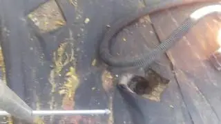 A look at Shop vac Post or plant hole pole digger.