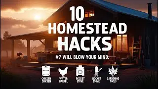 10 Homestead Hacks That Save Time, Money & Sanity (You&rsquo;ll Wish You Knew Sooner)
