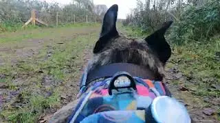 Friston Forest 18th January 26