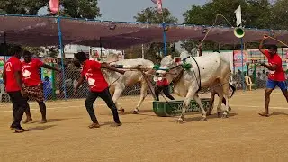 రెంటచింతల 2 పళ్ళు 3వ గోపు.వేంకటేశ్వరరెడ్డి గారు Comind కామురు. రమణ రెడ్డి గారు 