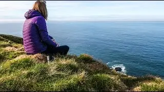 Wildlife Photography | Scotland's Only Mainland Gannet Colony
