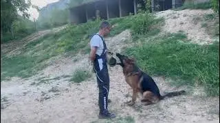 Zeus protection