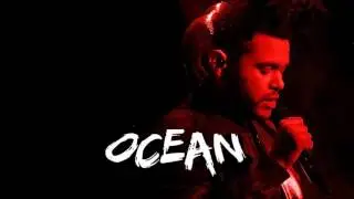 The Weeknd x Cashmere Cat - 