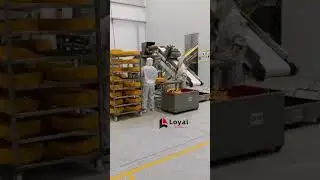 Japanese Panko bread crumb production line| Bread crumb machine factory|Electrode cooked breadcrumbs