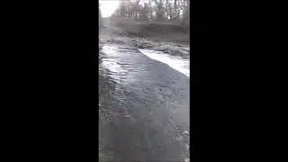 [Ep 08] Spring Fed Creek - Catfishing