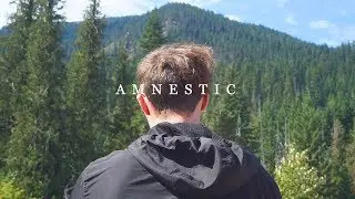 Amnestic