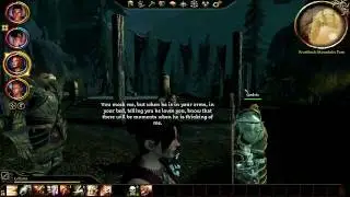 Morrigan Leliana Banter Dragon Age