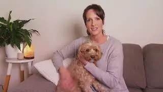 Snake bite and dogs - Health advice on Diagnosing and Treating Snake Bite | S3 Ep8 | Pooches at Play