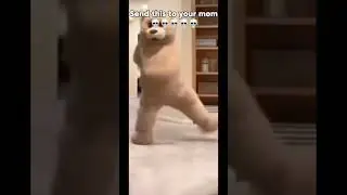 Dancing bear #funny #random #capcut #dancing #watching